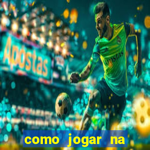 como jogar na lotinha do jogo do bicho