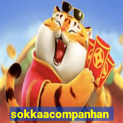 sokkaacompanhantes