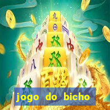 jogo do bicho feira de santana