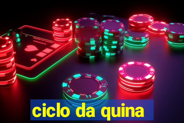 ciclo da quina