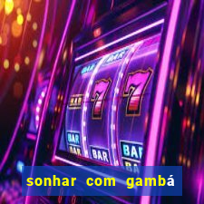 sonhar com gambá jogo do bicho