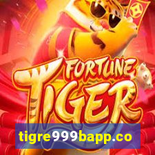 tigre999bapp.com