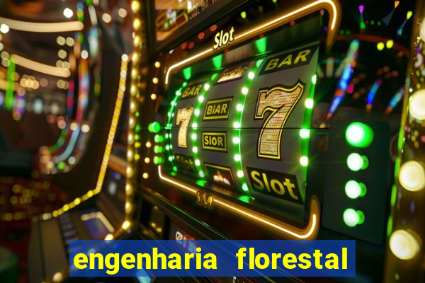 engenharia florestal ead cruzeiro do sul