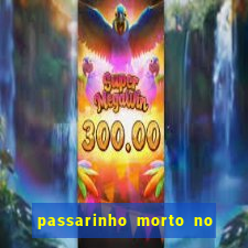 passarinho morto no quintal significado espiritual